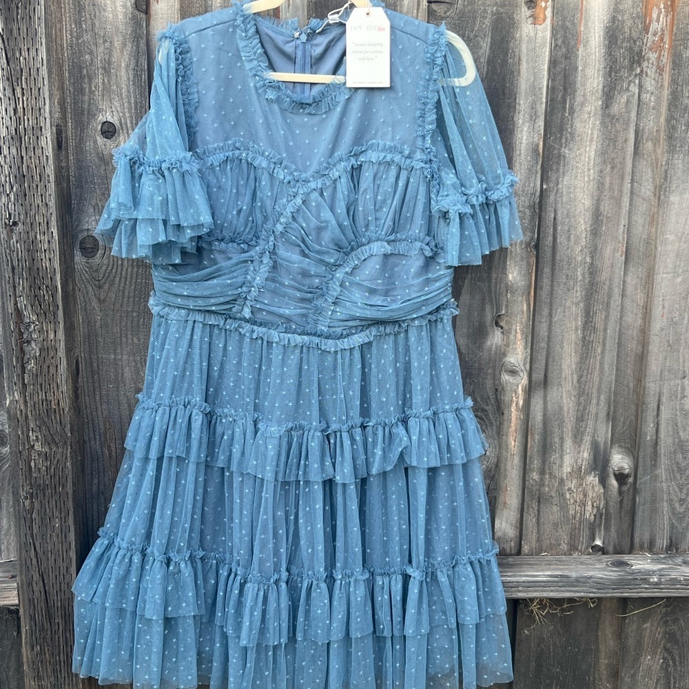 Ivy City Co Blue slate whimsical short XXL